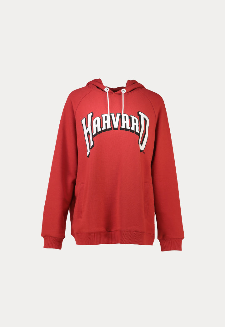 Printed Hooded Sweatshirt With Hood